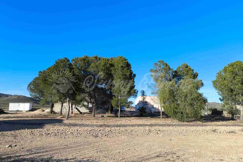 Landejendom i Yecla, Murcia, Yecla - € 185.000 | Ref: SF0522 - foto 26
